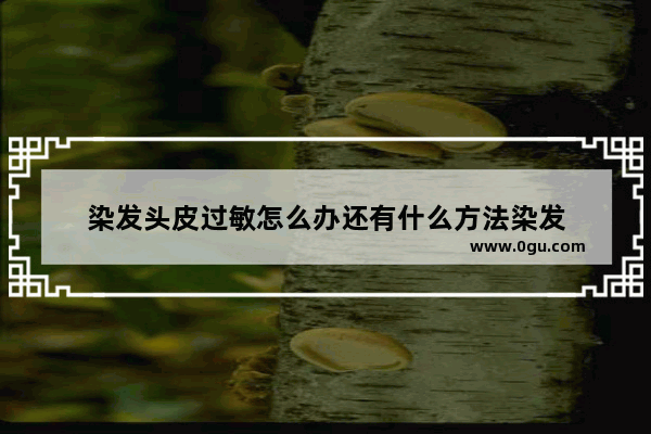 染发头皮过敏怎么办还有什么方法染发