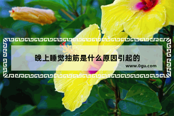 晚上睡觉抽筋是什么原因引起的