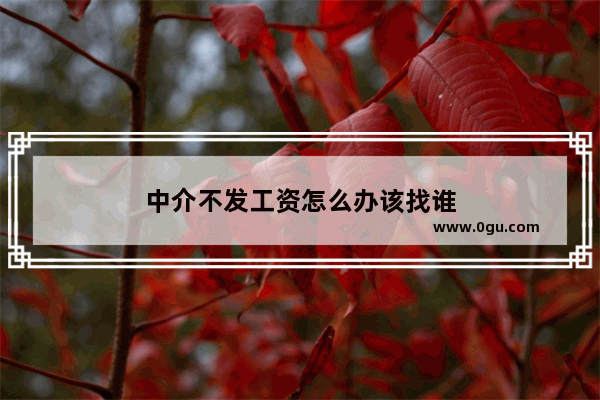 中介不发工资怎么办该找谁