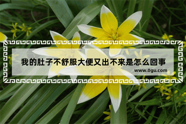 我的肚子不舒服大便又出不来是怎么回事