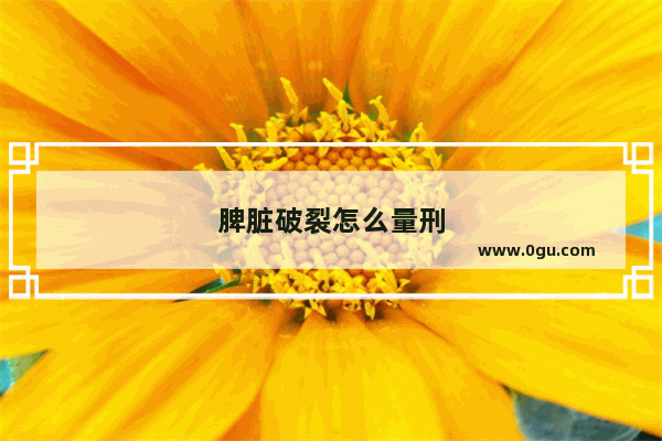 脾脏破裂怎么量刑