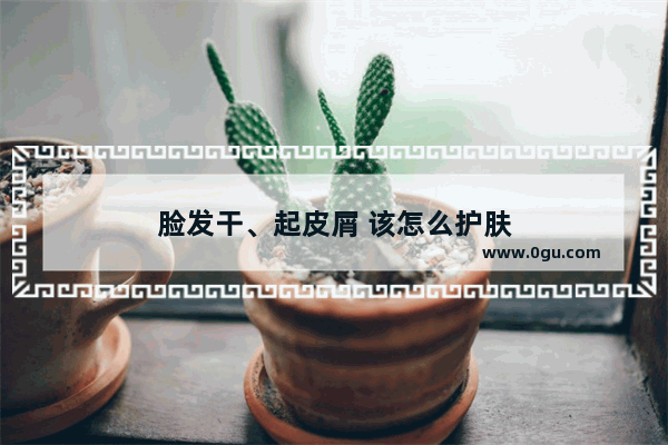 脸发干、起皮屑 该怎么护肤