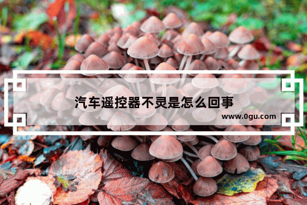 汽车遥控器不灵是怎么回事