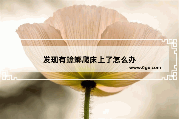 发现有蟑螂爬床上了怎么办