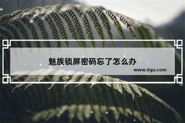 魅族锁屏密码忘了怎么办