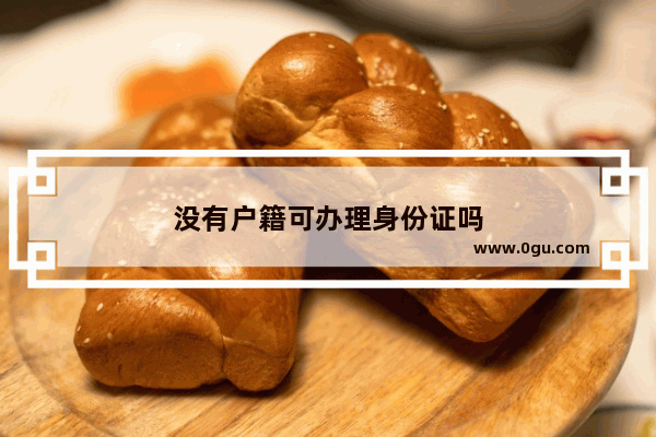 没有户籍可办理身份证吗