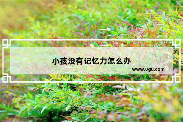 小孩没有记忆力怎么办