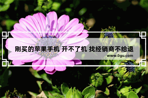 刚买的苹果手机 开不了机 找经销商不给退怎么办