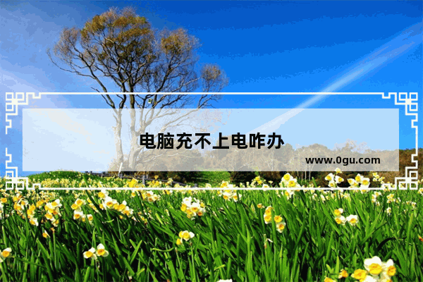 电脑充不上电咋办