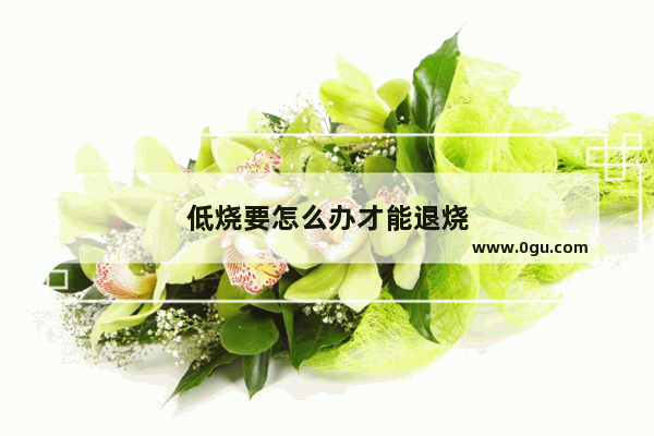 低烧要怎么办才能退烧