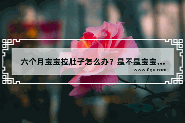 六个月宝宝拉肚子怎么办？是不是宝宝是受凉了拉肚子呢