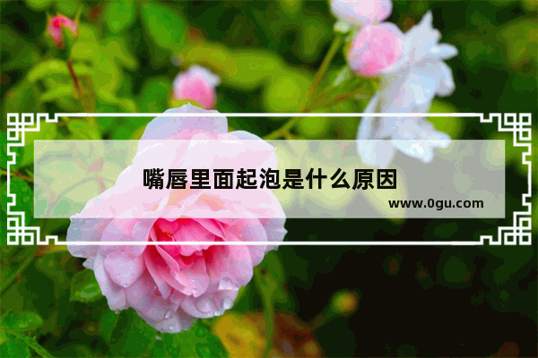 嘴唇里面起泡是什么原因