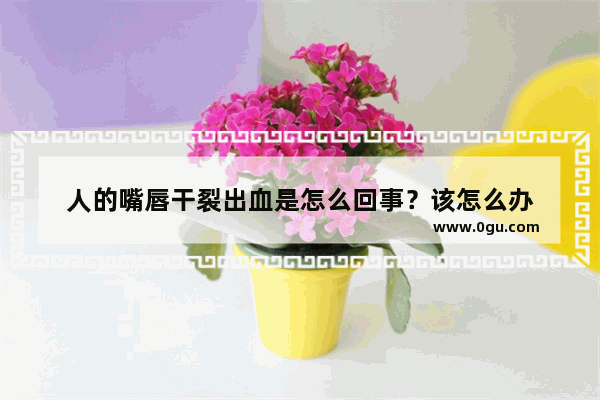 人的嘴唇干裂出血是怎么回事？该怎么办