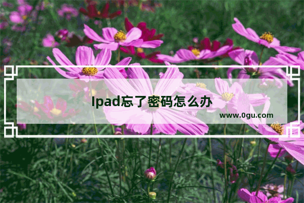 Ipad忘了密码怎么办