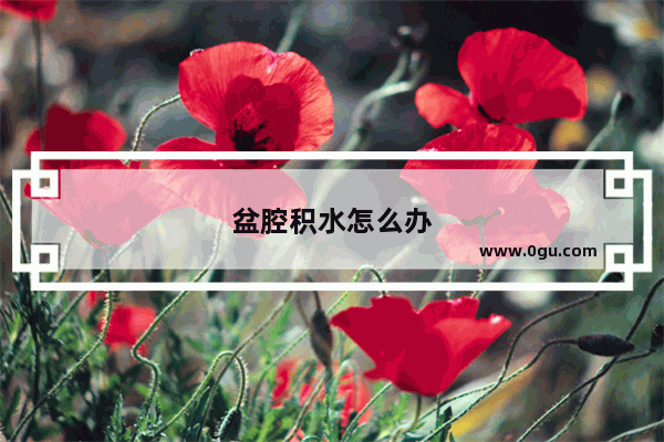 盆腔积水怎么办