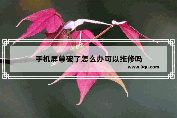 手机屏幕破了怎么办可以维修吗