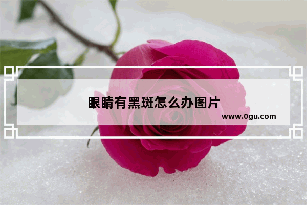 眼睛有黑斑怎么办图片