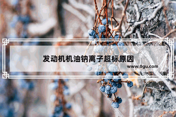 发动机机油钠离子超标原因