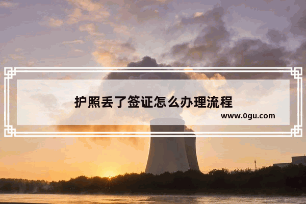 护照丢了签证怎么办理流程
