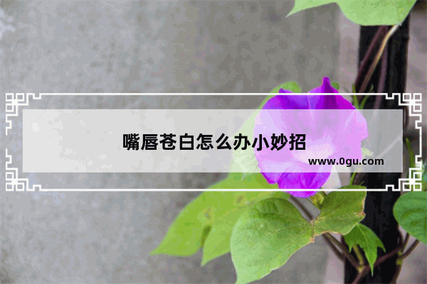 嘴唇苍白怎么办小妙招