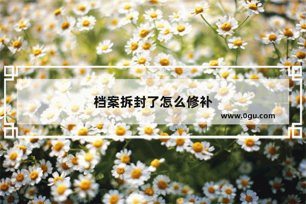 档案拆封了怎么修补