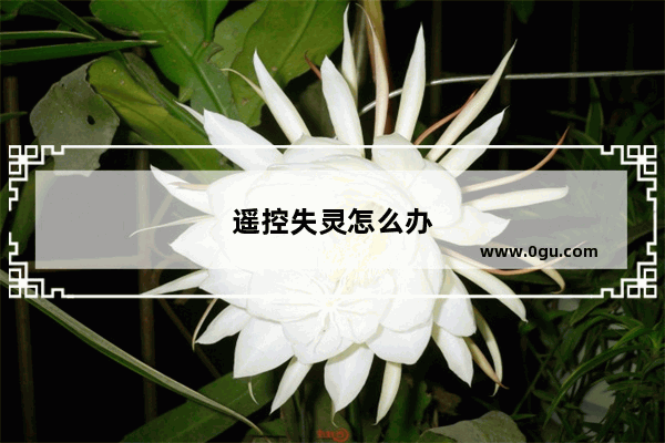遥控失灵怎么办