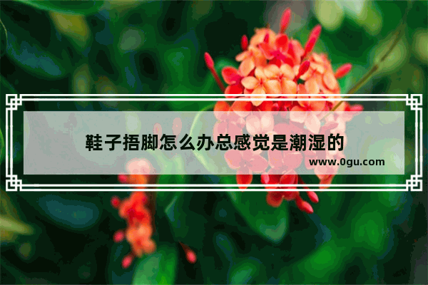 鞋子捂脚怎么办总感觉是潮湿的