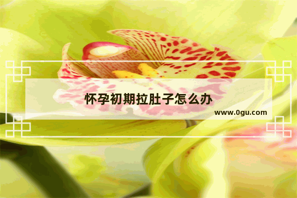 怀孕初期拉肚子怎么办