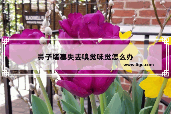 鼻子堵塞失去嗅觉味觉怎么办
