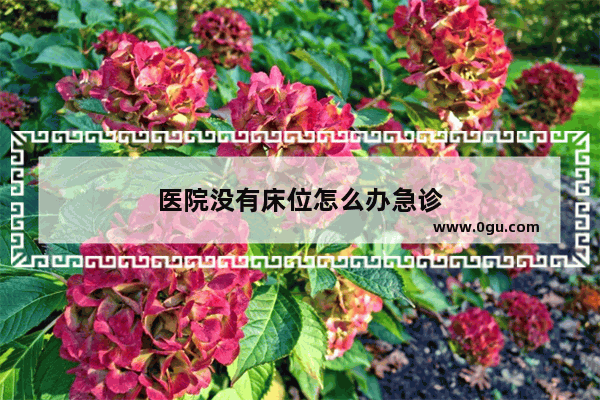 医院没有床位怎么办急诊
