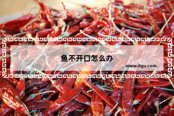 鱼不开口怎么办