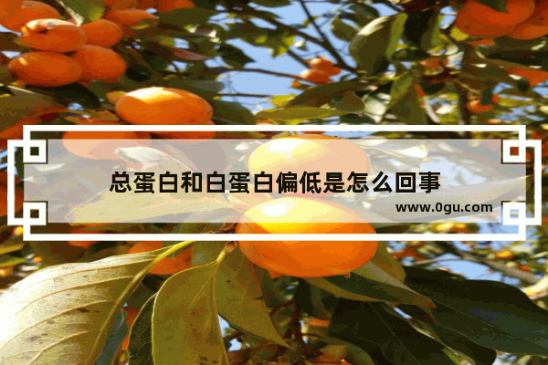 总蛋白和白蛋白偏低是怎么回事