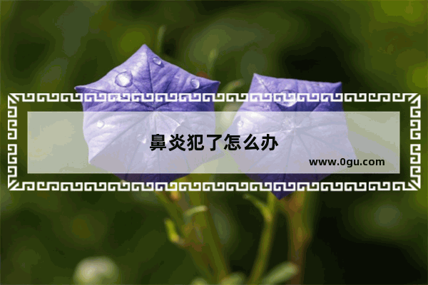 鼻炎犯了怎么办