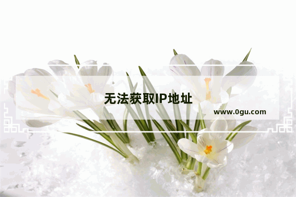无法获取IP地址