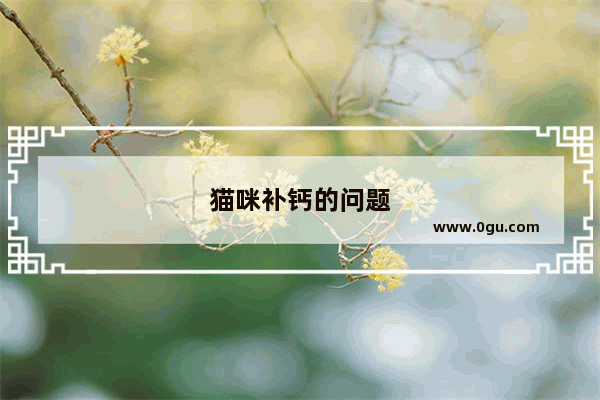 猫咪补钙的问题