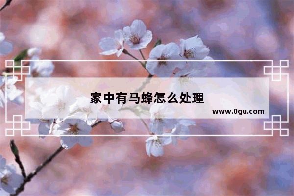 家中有马蜂怎么处理
