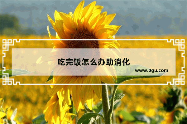 吃完饭怎么办助消化