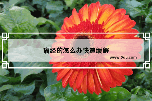 痛经的怎么办快速缓解
