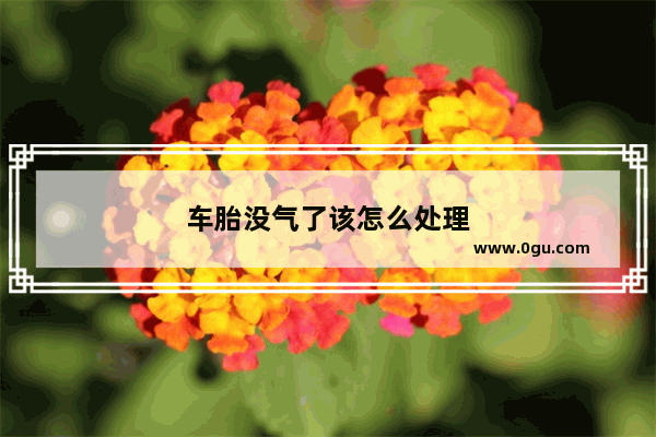 车胎没气了该怎么处理