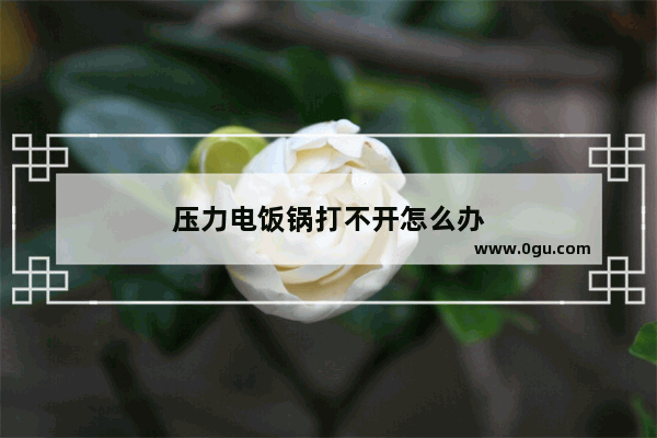 压力电饭锅打不开怎么办