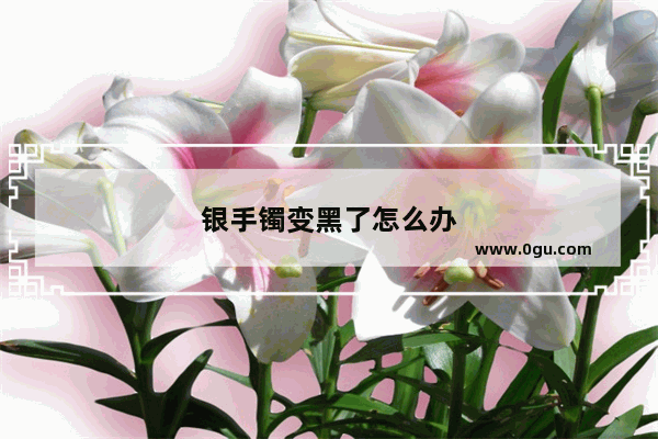 银手镯变黑了怎么办
