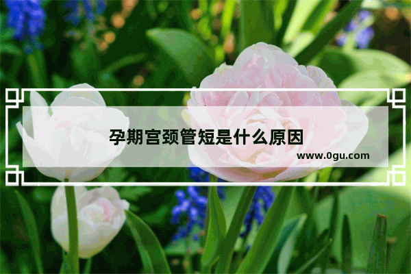 孕期宫颈管短是什么原因