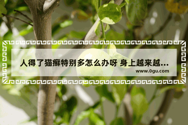 人得了猫癣特别多怎么办呀 身上越来越多了。希望有经验的人赶快告诉告诉我