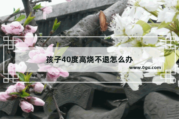 孩子40度高烧不退怎么办