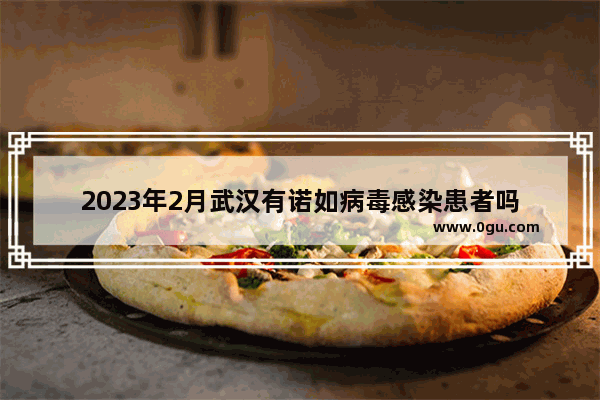 2023年2月武汉有诺如病毒感染患者吗