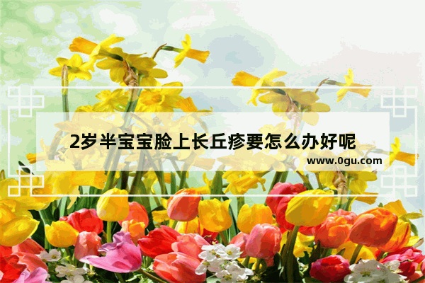 2岁半宝宝脸上长丘疹要怎么办好呢