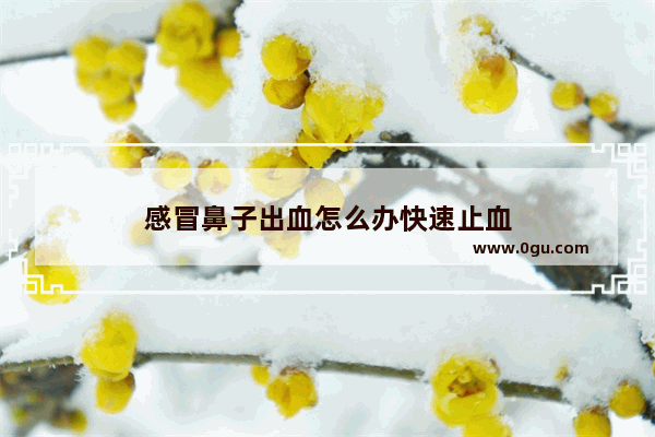 感冒鼻子出血怎么办快速止血