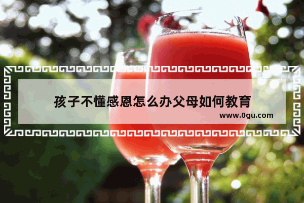 孩子不懂感恩怎么办父母如何教育