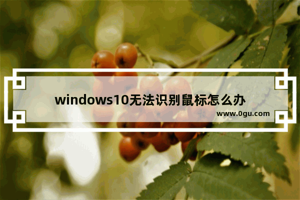 windows10无法识别鼠标怎么办
