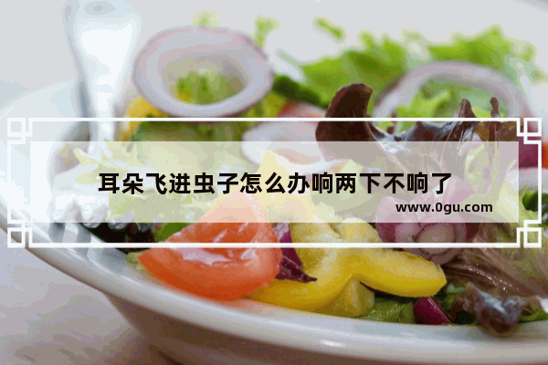 耳朵飞进虫子怎么办响两下不响了